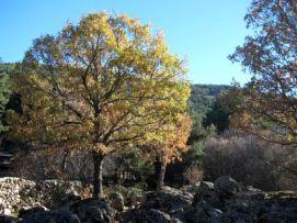 ruta-cascada-del-purgatorio-10