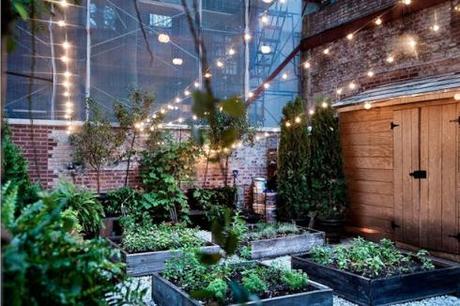 The-Musket-Room-New-York-4