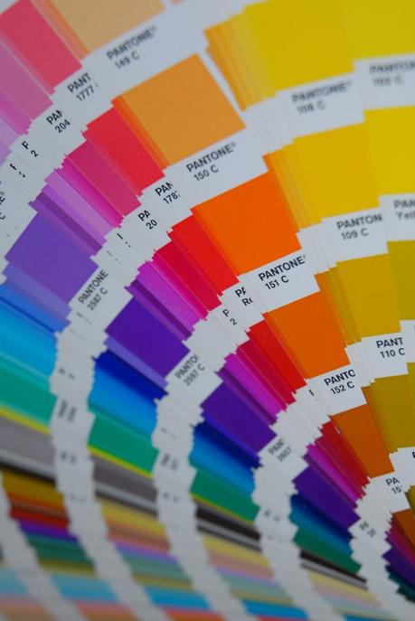 Consejos para Elegir y Llevar el Boutonniere (II)