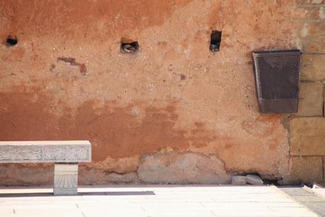 desafío fotográfico 