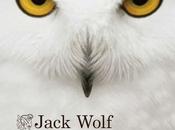 "Misericordia" Jack Wolf