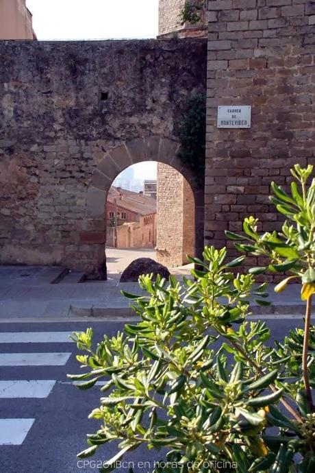 UNA VISITA DE CORTESÍA AL MONASTERIO DE PEDRALBES