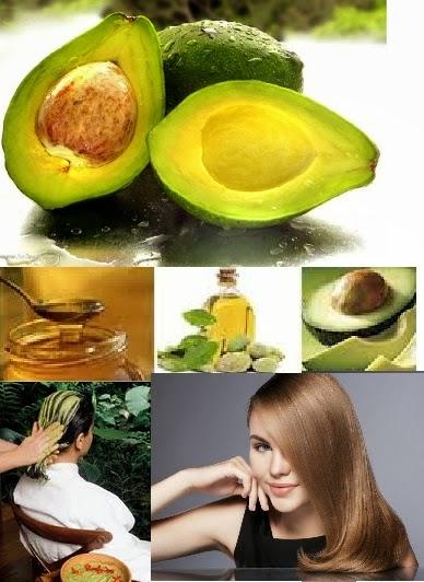 LA PALTA O AGUACATE MARAVILLA PARA TU CABELLO