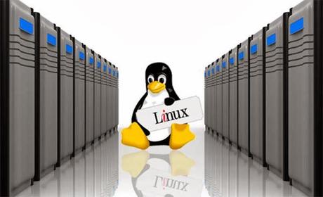 Los Mejores Web Hosting Linux para el 2014