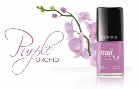 Purple Orchid accesible.