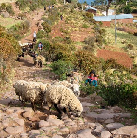 En la península de Capachica : Maravilla secreta