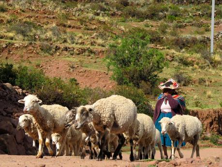 En la península de Capachica : Maravilla secreta