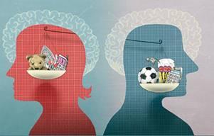 Neuromanagement: ¿El Cerebro Masculino es más grande que el Femenino?