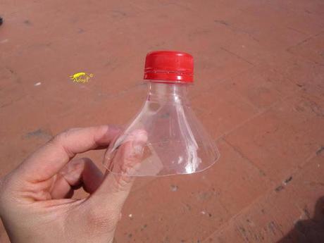 Truco para evitar a las orugas en nuestra huerta.