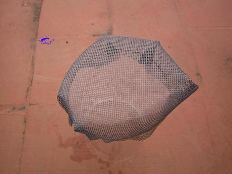 Truco para evitar a las orugas en nuestra huerta.