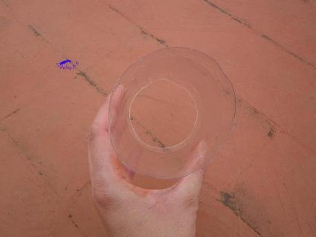 Truco para evitar a las orugas en nuestra huerta.