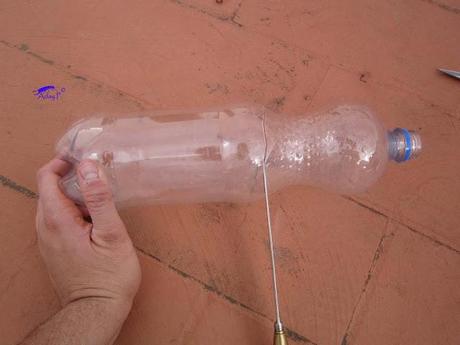 Truco para evitar a las orugas en nuestra huerta.