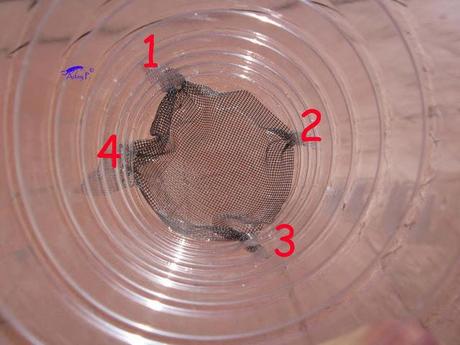 Truco para evitar a las orugas en nuestra huerta.