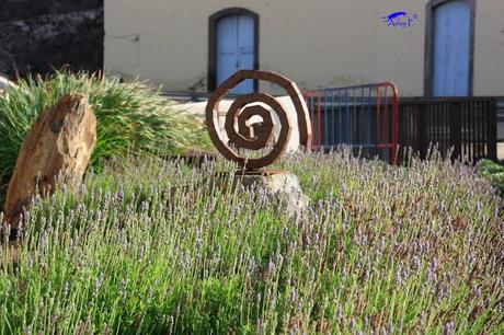 Como mejorar la polinización