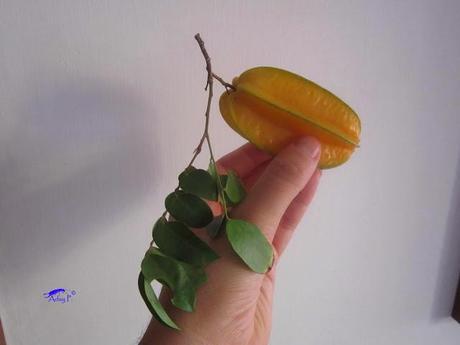 Como mejorar la polinización