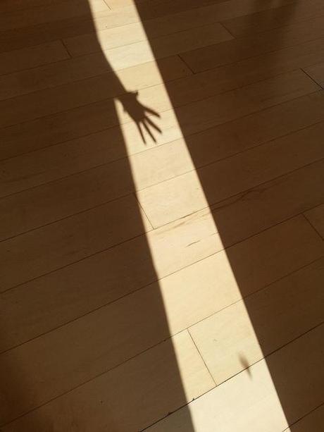 Androidografia Barakaldo 1625