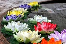 Baile de siluetas...