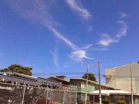 Baile de siluetas...