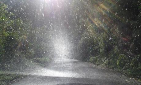 Baile de siluetas...