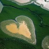 DESDE TIERRA CON AMOR. Paisajes con corazón Manglar con forma de corazón en Nueva Caledonia