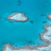 DESDE TIERRA CON AMOR. Paisajes con corazón Arrecife con forma de corazón en Gran Barrera de Coral de Whitsundays, Australia