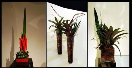 A-cero Floral Sorprende en San Valentín con A-cero Floral