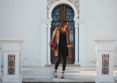 Un Paseo por las Nubes...