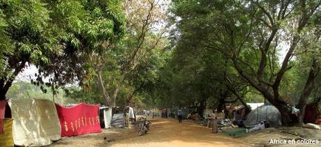 272. Entrevista con el chef de village de Komba