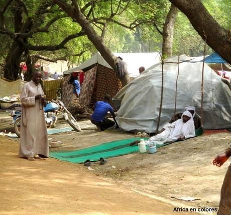 272. Entrevista con el chef de village de Komba