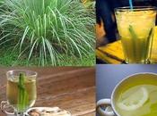 Infusiones :usos hierbaluisa