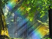 memoriam francisco álvarez hidalgo.