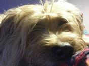 Androidografia Barakaldo CDIV. Luna