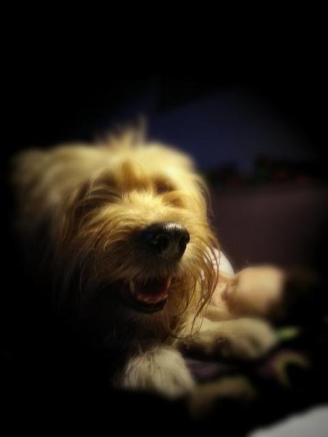 Androidografia Barakaldo 1629