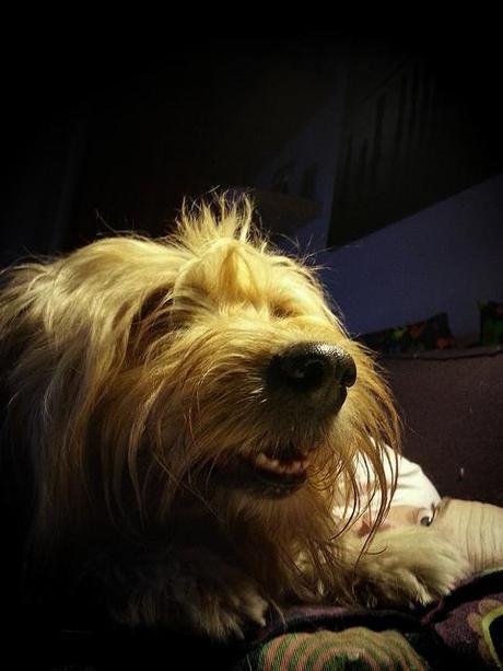 Androidografia Barakaldo 1627