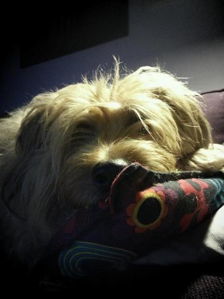 Androidografia Barakaldo 1628