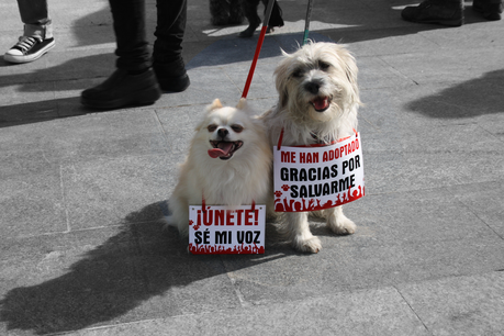Madrid en Rojo. Blogger Traveller.