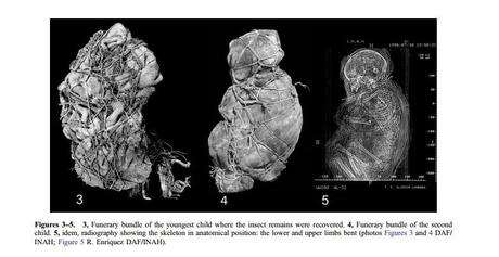 Arqueoentomología en una cueva de México