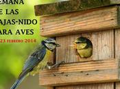 Semana Cajas-nido para Aves 16-23 febrero
