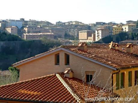 Techos rojos de Siena Techos de tejas