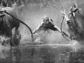 fotos impactantes realizadas aficionados