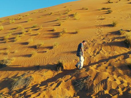 Ramlat al-Wahiba, nuestra experiencia en el desierto de Omán