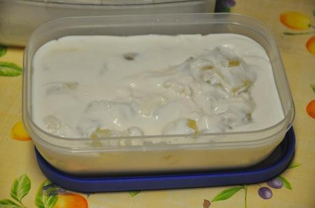 Yogur Griego Familiar De Aloe Vera Deshidratada