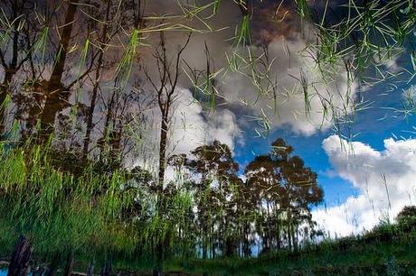 Reflejos en los charcos