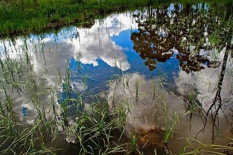 Something I can never have