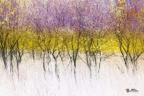 Marismas Blancas, Astillero