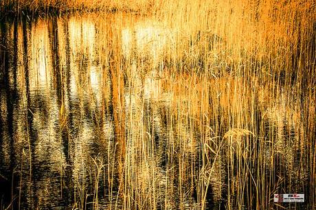 Marismas Blancas, Astillero