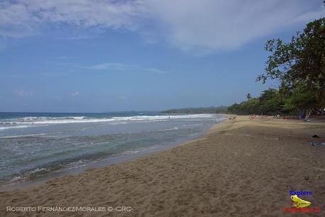 Playa Cocles de Limón