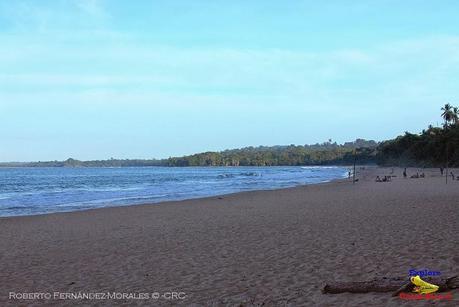 Playa Cocles de Limón