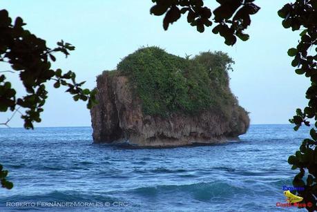 Playa Cocles de Limón