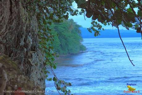 Playa Cocles de Limón